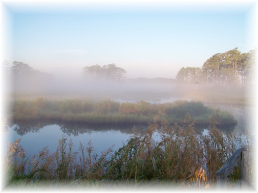 Chincoteague Bay (Photo by Nancy Martin)