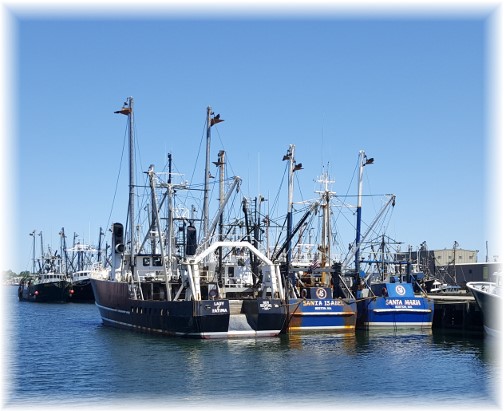 New Bedford fishing fleet 6/18/16