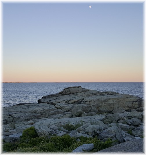 Ocean view on Sachuest Point, Rhode Island 6/17/16