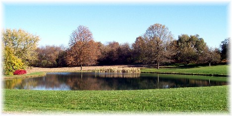 Farm pond in autumn