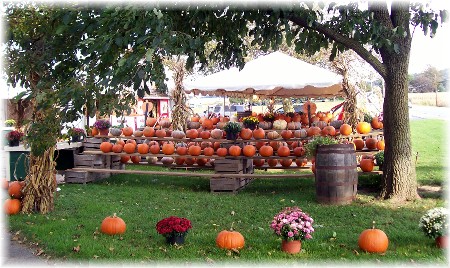Pumpkin stand Lancaster County