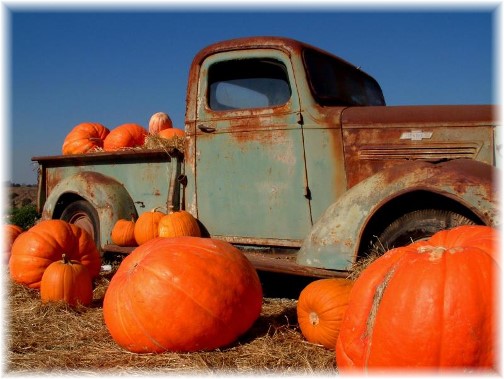 Truck and pumpkins (photo by Nick Nichols)