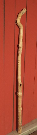 Photo of staff (walking stick)