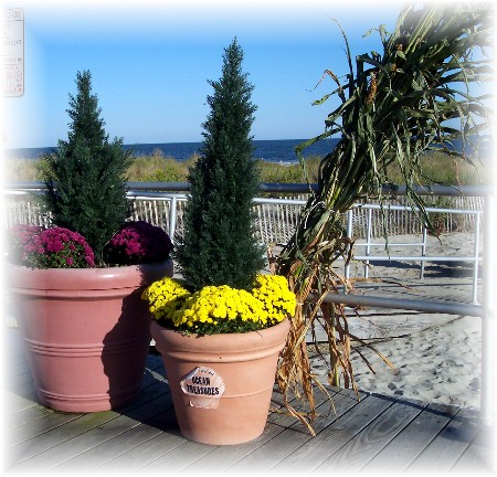 Flower arrangement on the Ocean City, NJ boardwalk
