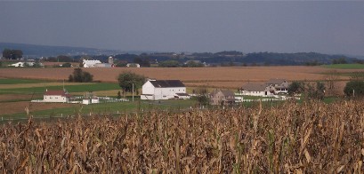 Amish farmview