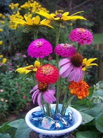 Frogpin Cluster flower arrangement