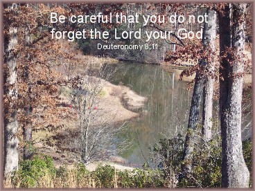Photo of South Carolina pond with Scripture