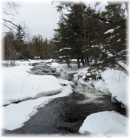 Mountain stream in Adirondacks 3/24/13