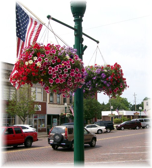 Delavan Wisconsin lamp post flowers 8/8/12