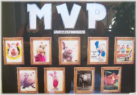 Indiana State Fair MVP pig display