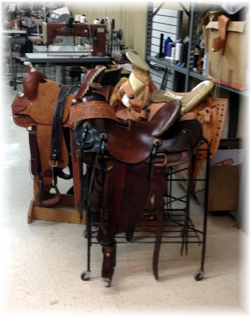 Saddle stands at leather shop in New Braunfels Texas 5/6/14