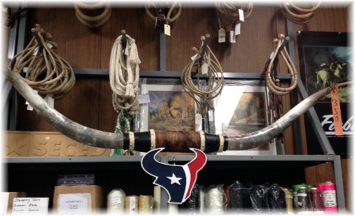 Longhorn rack at leather shop in New Braunfels Texas 5/6/14