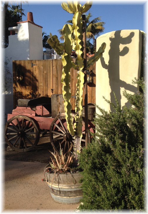 Old Town cactus (Click to enlarge)