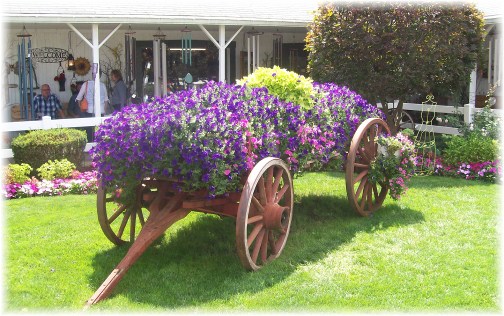 Shipshewana flower cart