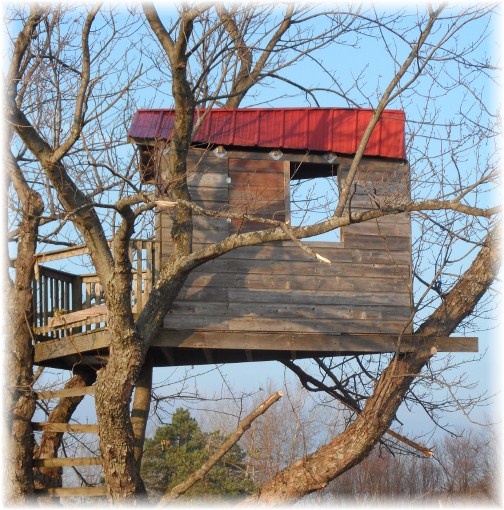Treehouse in New York