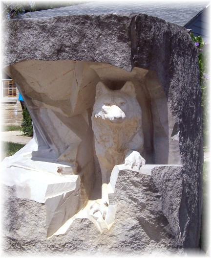 Wolf in limestone at quarry in Bloomington, Indiana