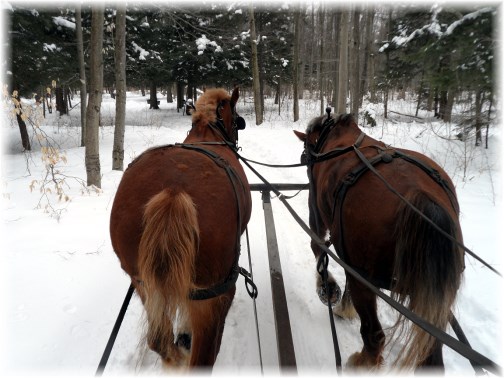 Yancey's sugarbush sleigh ride 3/24/13