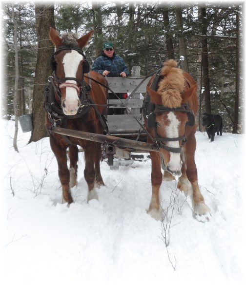 Yancey's sugarbush sleigh ride 3/24/13