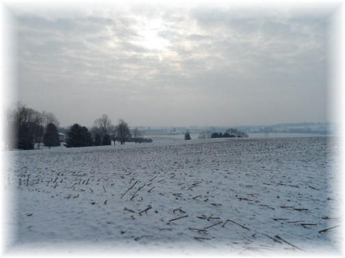 Snow view from church 2/3/13