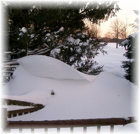 Large snow drift 2/11/10