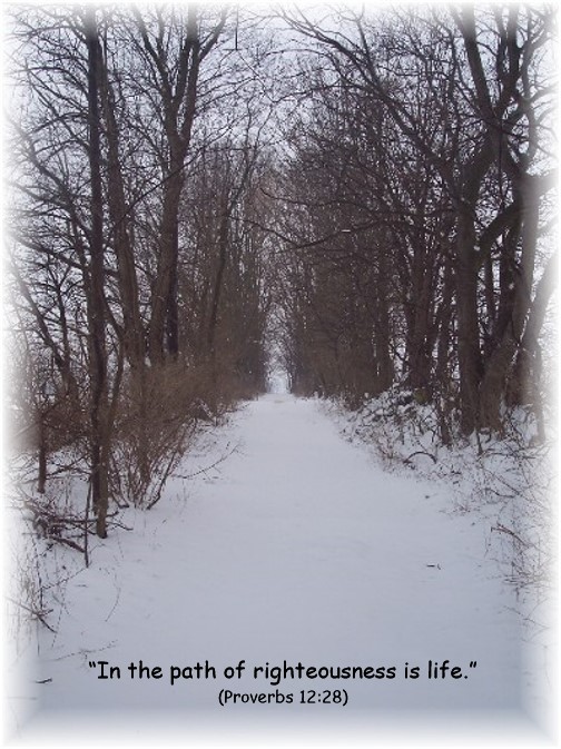 Snowy path with Proverbs 12:28