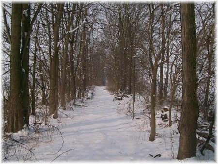 Snowy trail 2/3/10