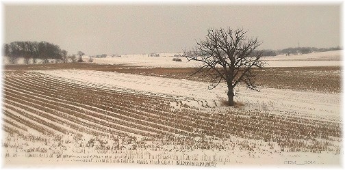 Wisconsin winter scene (photo by GM)
