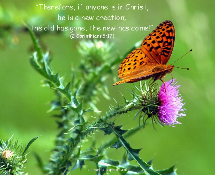 Butterfly with Scripture verse