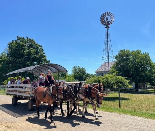 Old Windmill Farm mule-drawn hayride