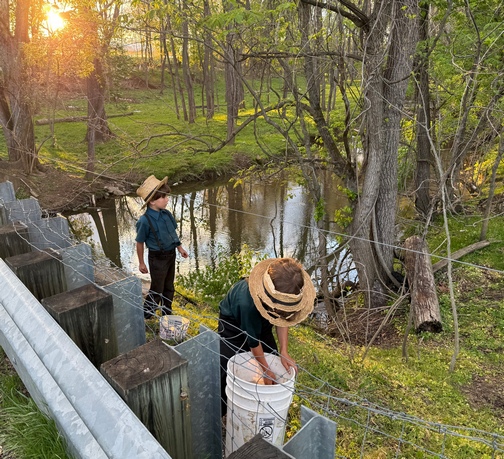 Fishing in Donegal Creek