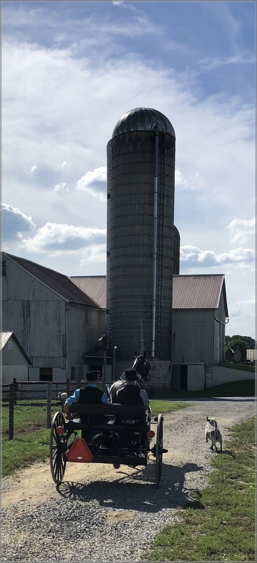 Amish boys going to youth service, Lancaster County 9/16/18