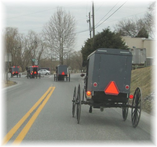 Amish traffic buggy, Intercourse, PA