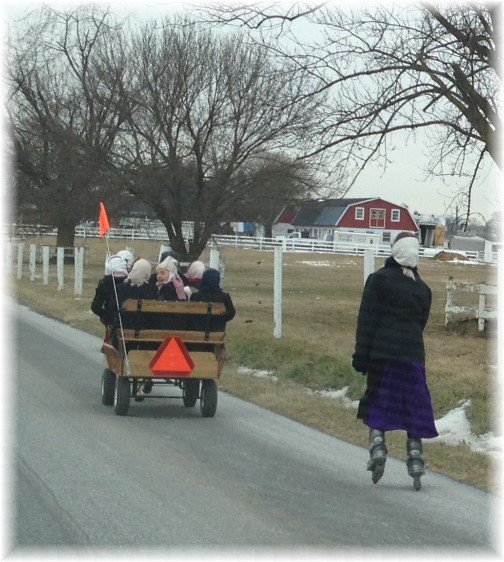 Amish girls in cart