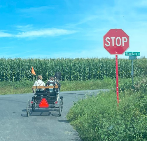 Amish young people on a horse drawn cart