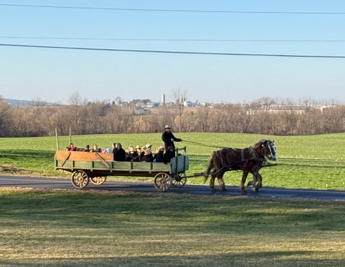 Amish children carolers