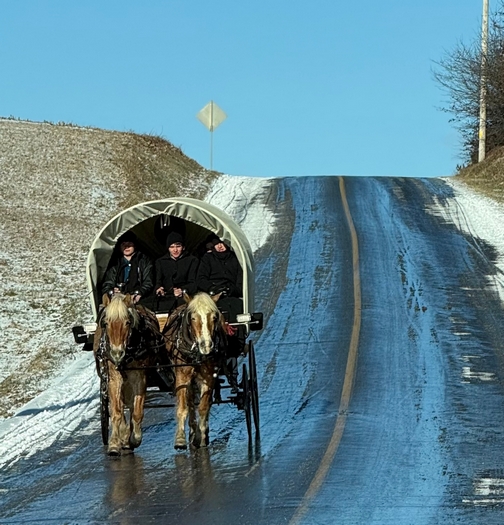 Amish youth in covered wagon