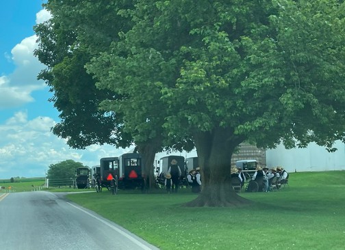 Amish fellowship