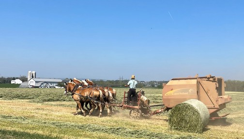 Amish farmer baling hay