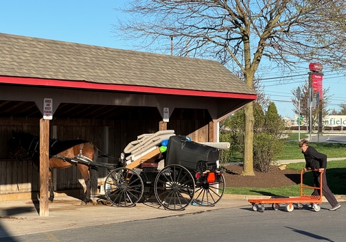 Amish shopping at Costco