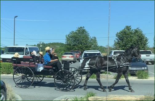 Amish family in spring wagon 5/24/19 (Click to enlarge)