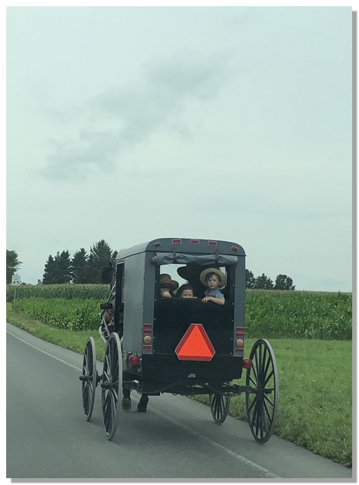 Amish traffic 7/25/18