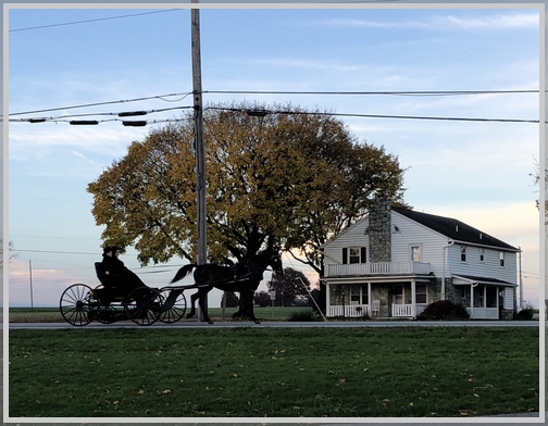 Amish wedding traffic 11/8/18