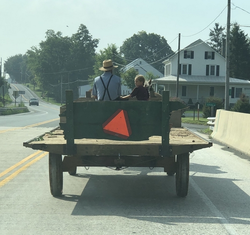 Amish horse-drawn wagon, Lancaster County, PA 8/8/19