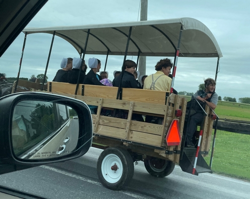 Amish youth on covered wagon