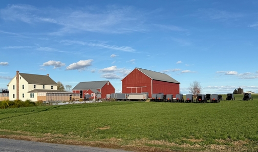 Amish farm with wedding