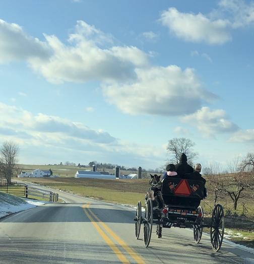 Amish youth heading to meeting 01-19-20