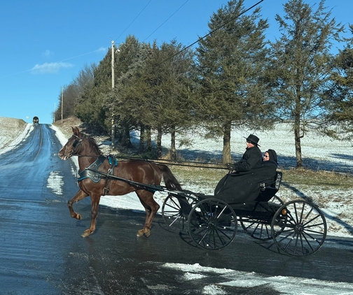 Amish youth on Spring wagon