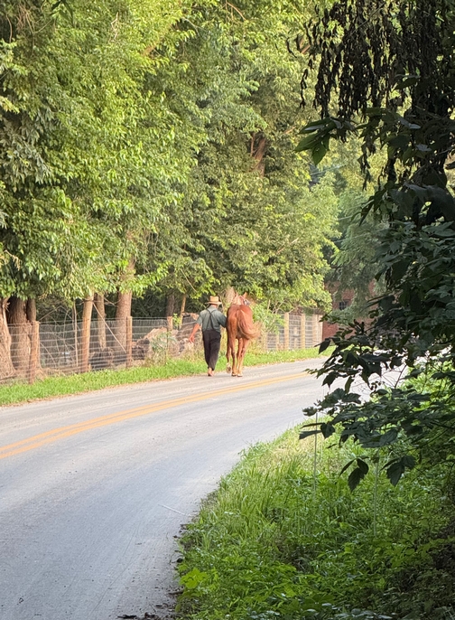 Eli training horse