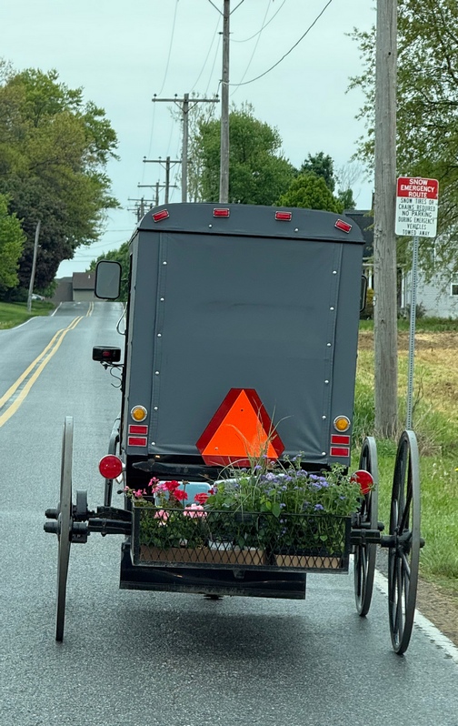 Buggie with flowers