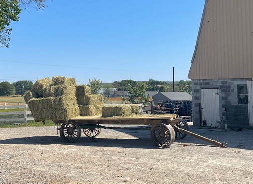 Amish hay wagon